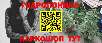 jwh Волгодонск
