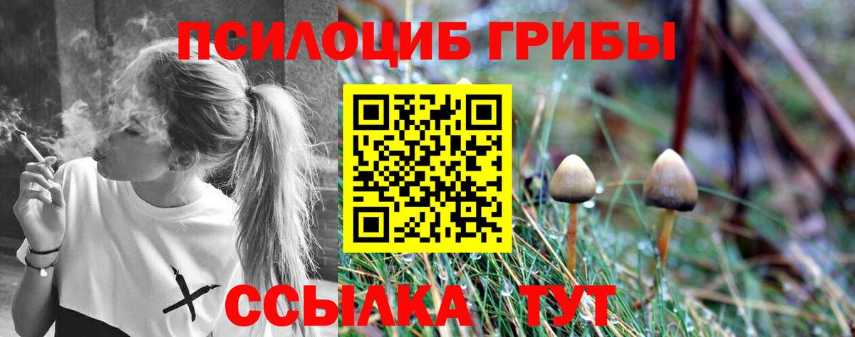 наркотики  Галлюциногенные грибы Cubensis  Вход с VPN  Псилоцибиновые грибы Cubensis  Екатеринбург 