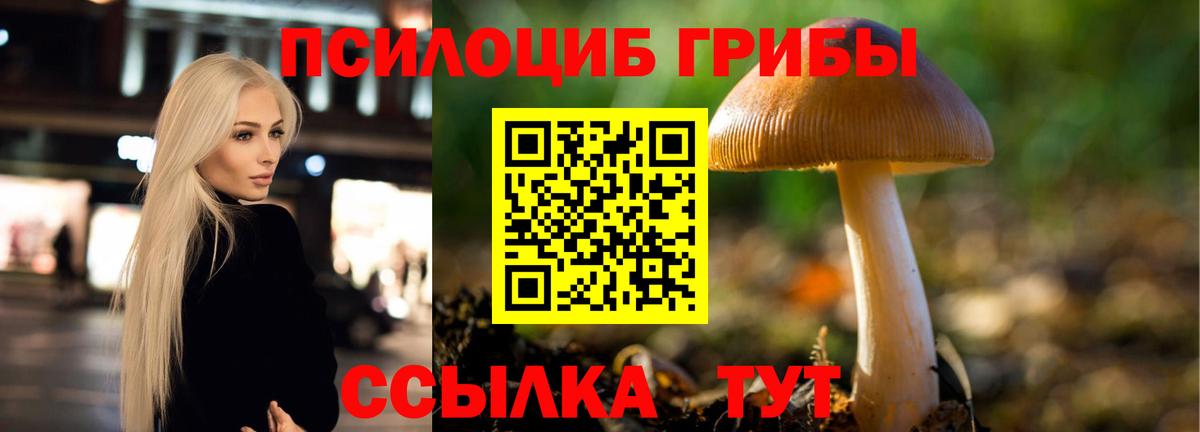 Галлюциногенные грибы Psilocybine cubensis Екатеринбург